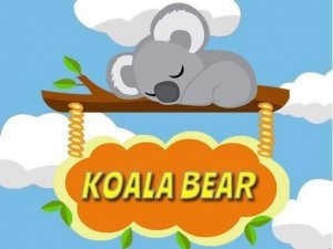 Starry Koala Catch