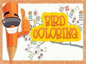 Feathered Friends Color Gallery