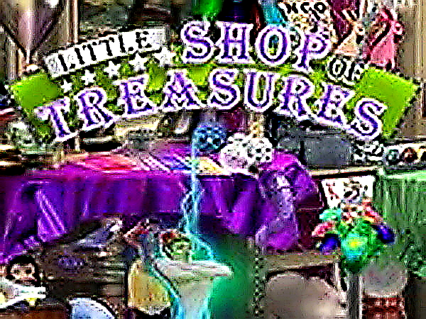 Little Shop of Treasures Hidden Object Puzzle Game