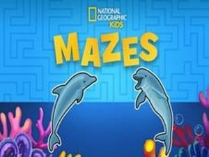 Animal Maze Adventure Puzzle