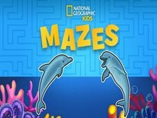 Animal Maze Adventure Puzzle