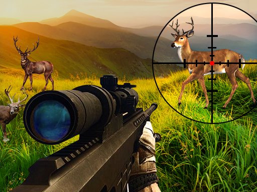 Safari Wildlife Observation Challenge