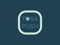 TORA PUSH Puzzle Game - Logic Puzzle