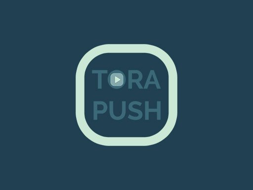 TORA PUSH Puzzle Game - Logic Puzzle