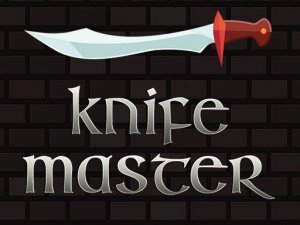 Knife Master Online Arcade Game