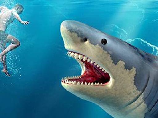 Ocean Expedition: Shark Observation