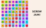 Screw Jam Puzzle: Relaxing Mechanical Sorting Game