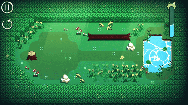 Frog Corral Puzzle Game